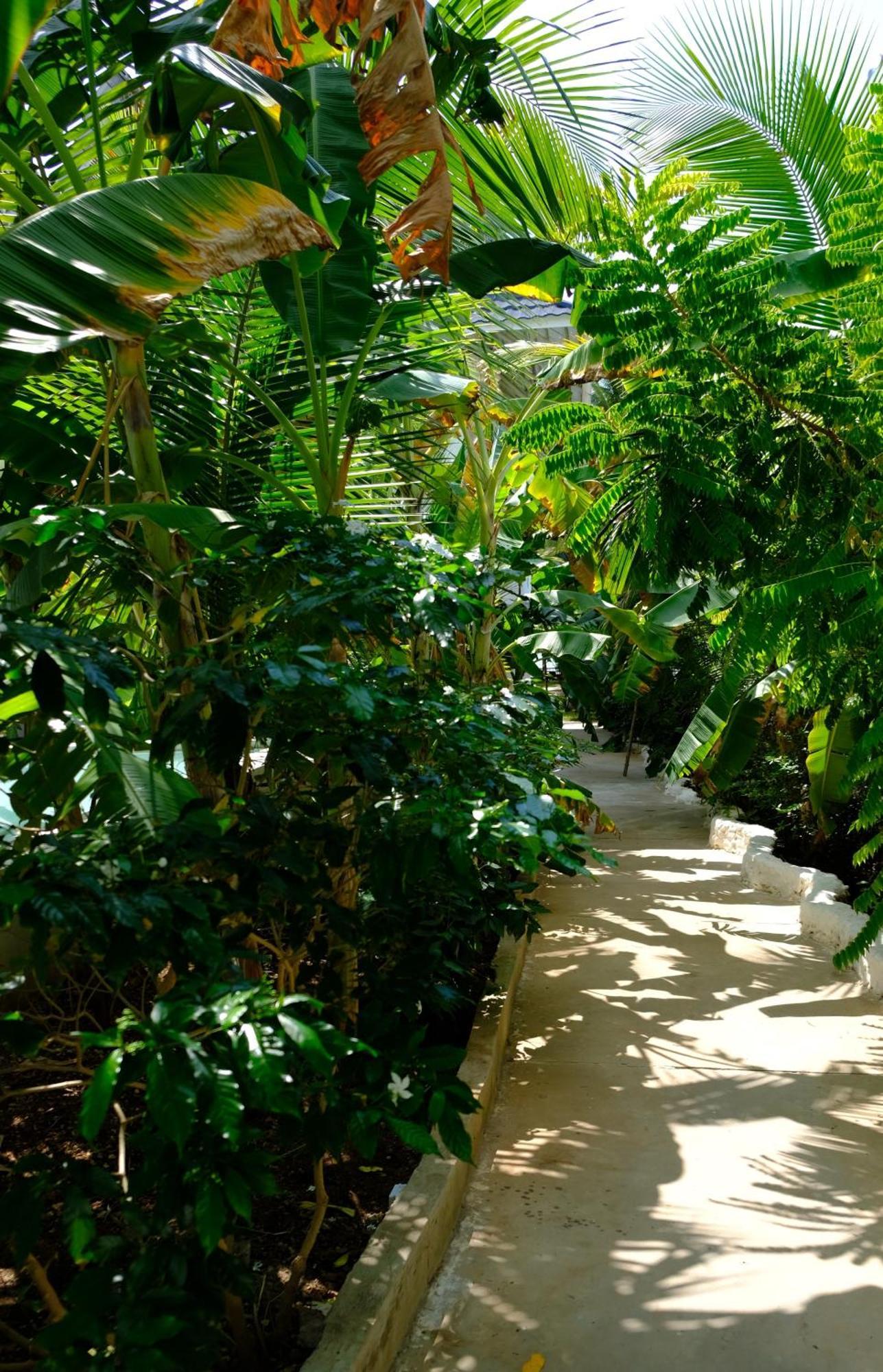 Kobe House Bed & Breakfast Jambiani  Exterior photo