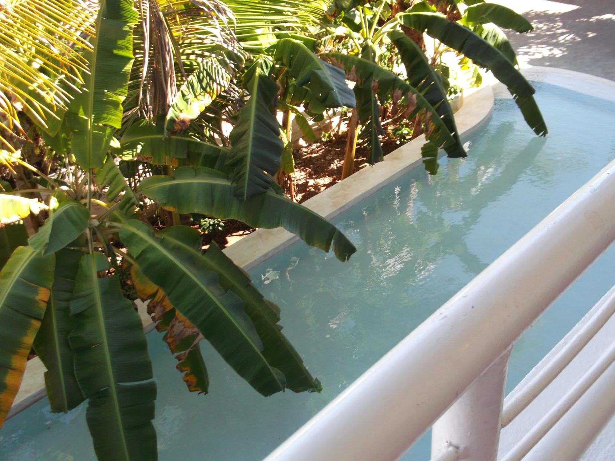 Kobe House Bed & Breakfast Jambiani  Room photo